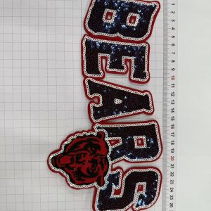 bears big patch