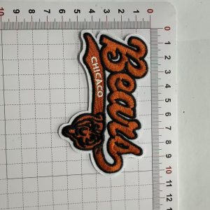 bears small patch