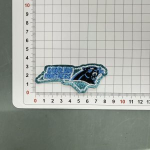 Panthers small patches