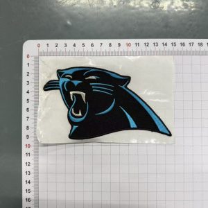 Panthers big patches