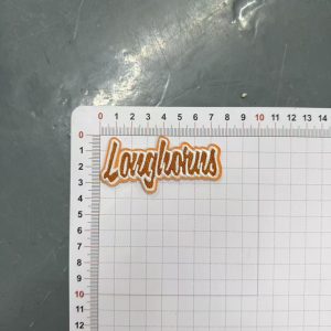 Texas Longhorns small patches