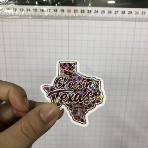Texans acrylic-5pcs