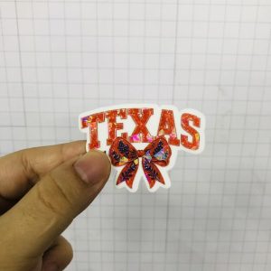 Texans acrylic-5pcs