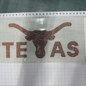 Texas Longhorns rhistone (5pcs)