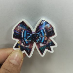 Panthers small acrylic 5pcs