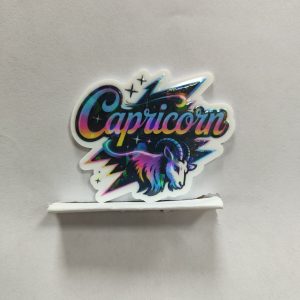 zodiac small acrylic 5pcs