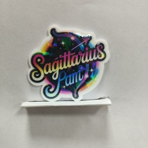 zodiac small acrylic 5pcs