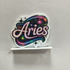 zodiac small acrylic 5pcs