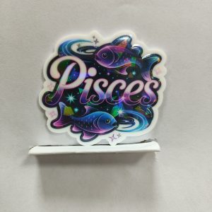 zodiac small acrylic 5pcs