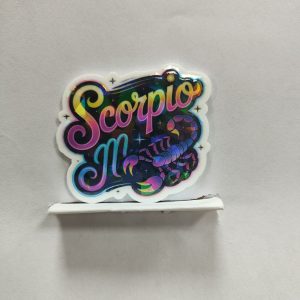 zodiac small acrylic 5pcs