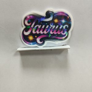 zodiac small acrylic 5pcs