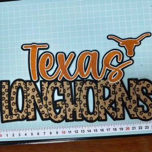 Texas Longhorns big patches