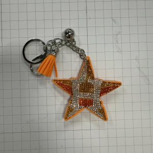 Houston Astros Keychain