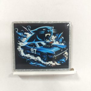 panthers small acrylic 5pcs