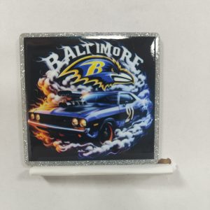 Ravens small acrylic 5pcs