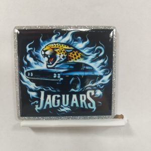 jaguars small acrylic 5pcs