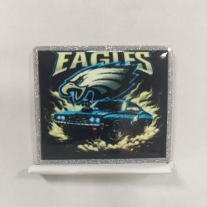 Eagles small acrylic 5pcs
