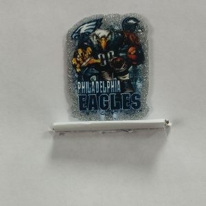 Eagles small acrylic 5pcs
