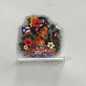puertorico small acrylic 5pcs