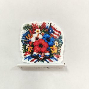 puertorico small acrylic 5pcs
