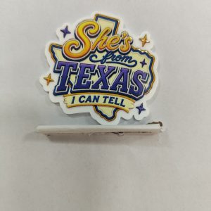 HoustonAstros small acrylic 5pcs