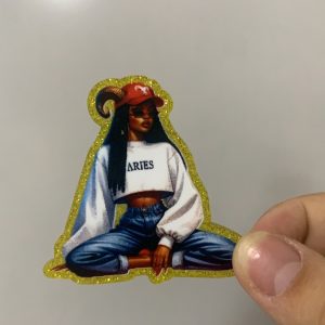 zodiac small acrylic 5pcs