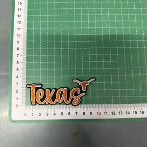 longhorn small  patches